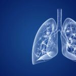 curiosidades-de-los-pulmones