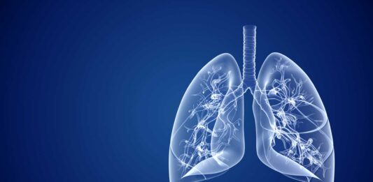 10 curiosidades de los pulmones | No solo sirven para respirar Curiosidades de los pulmones