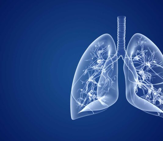 Curiosidades de los pulmones
