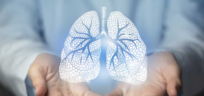 Datos curiosos de los pulmones