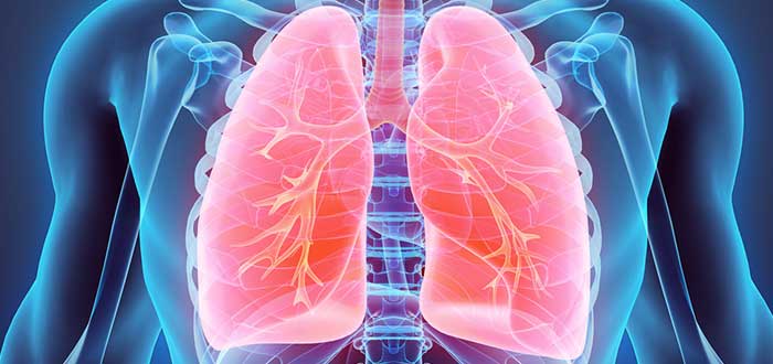 Datos de los pulmones