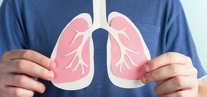 Funciones y curiosidades de los pulmones