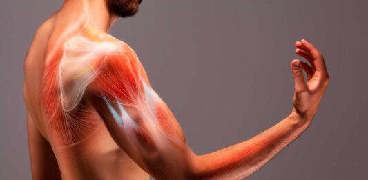datos curiosos de los musculos