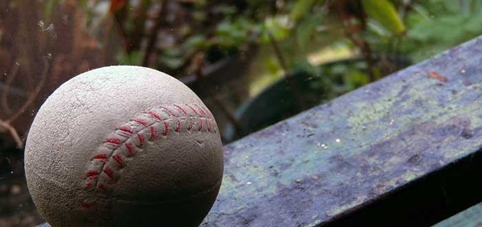 datos curiosos de caracas béisbol en Venezuela