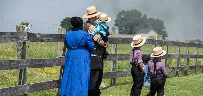 curiosidades de los Amish