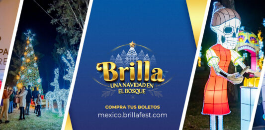 Navidad Mágica en el Bosque: El Parque Temático Brilla Fest Navidad Mágica en el Bosque: El Parque Temático Brilla Fest