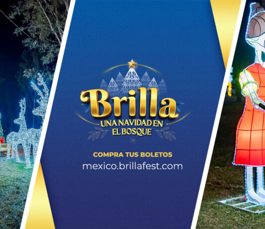 Navidad Mágica en el Bosque: El Parque Temático Brilla Fest Navidad Mágica en el Bosque: El Parque Temático Brilla Fest