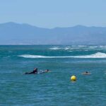 surf-y-windsurf-en-la-costa-del-sol