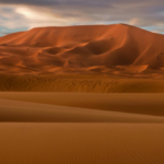 Sahara