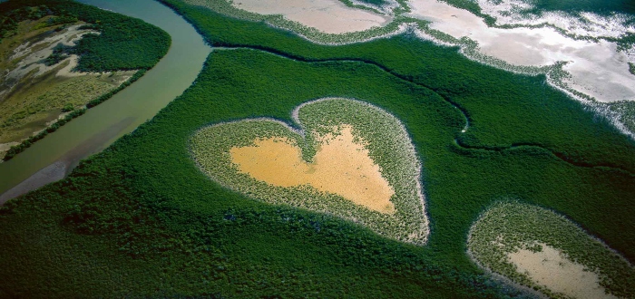 Corazón de Voh de Yann Arthus-Bertrand