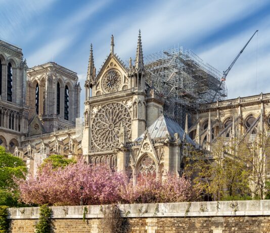 Curiosidades de Notre Dame