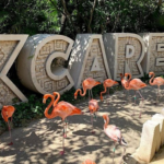xcaret (1)