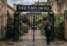 ¡Prohibido oler las flores! Conoce el peligroso Poison Garden del Castillo de Alnwick el-poison-garden
