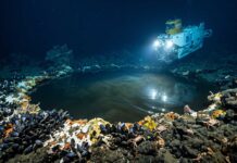 ¿Sabías que existen lagos debajo del océano? ¡Te explicamos por qué! lagos-debajo-del-oceano
