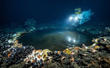 ¿Sabías que existen lagos debajo del océano? ¡Te explicamos por qué! lagos-debajo-del-oceano