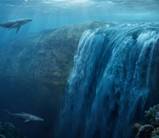 ¿La cascada más alta del mundo está debajo del océano? Sí, del Atlántico y ¡te explicamos por qué! por-que-la-cascada-mas-alta-del-mundo-esta-debajo-del-oceano